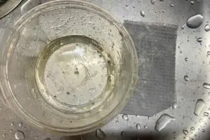 sirabee20260123daiso5