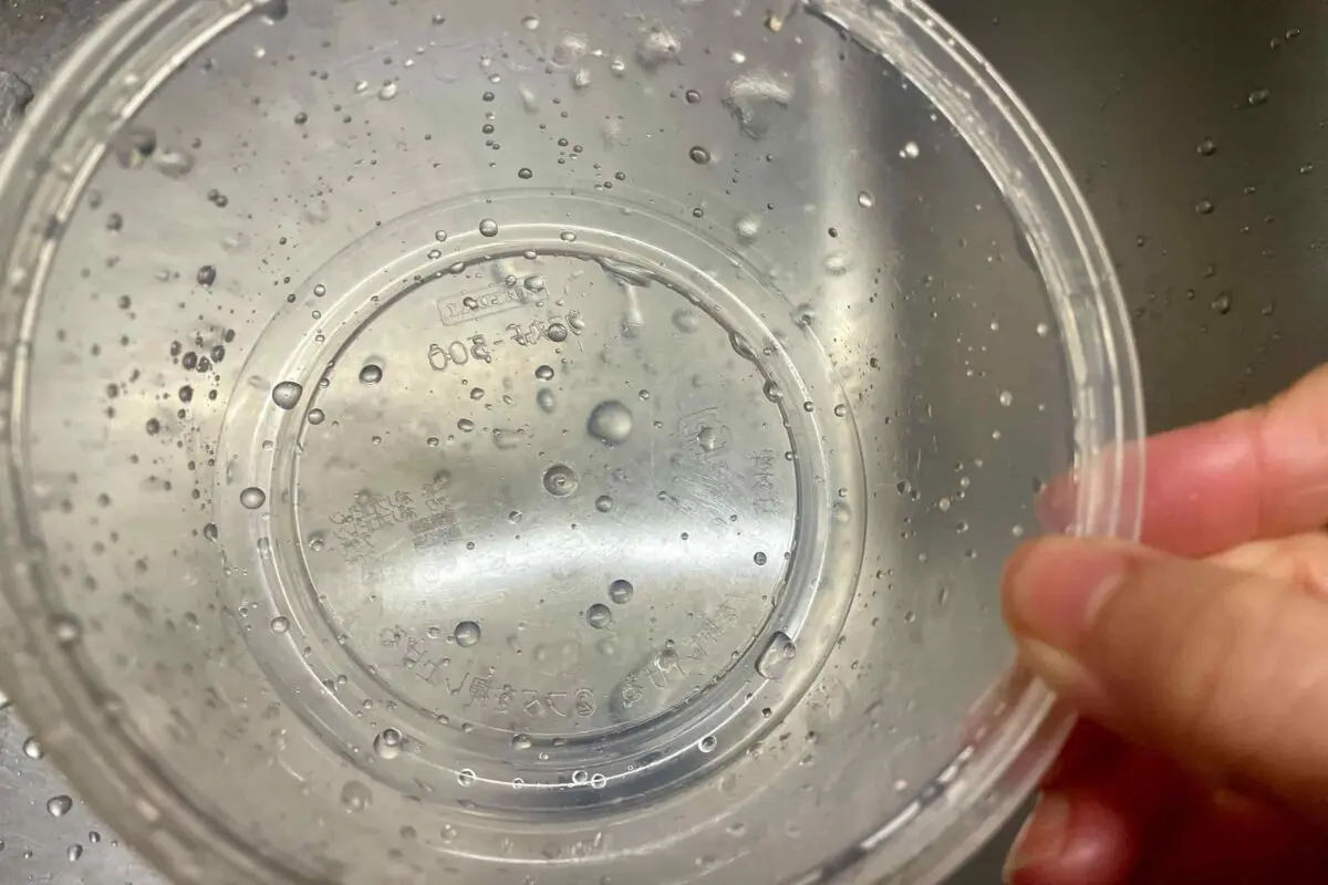 sirabee20260123daiso6