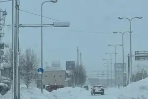 大豪雪の青森、信号の視認が「運ゲーすぎる」とドライバー戦慄 「信号無視」該当するケースを県警に聞いた