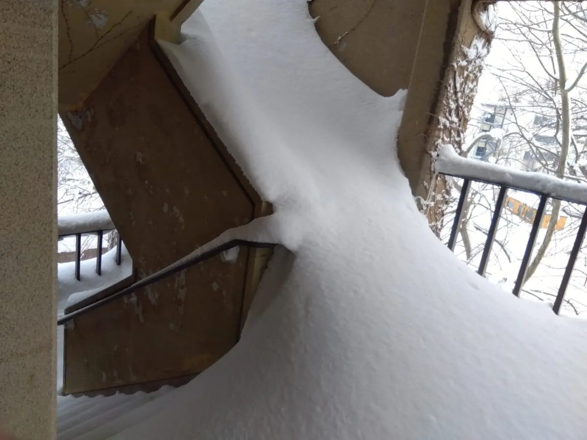 sirabee20260127hokkaido2