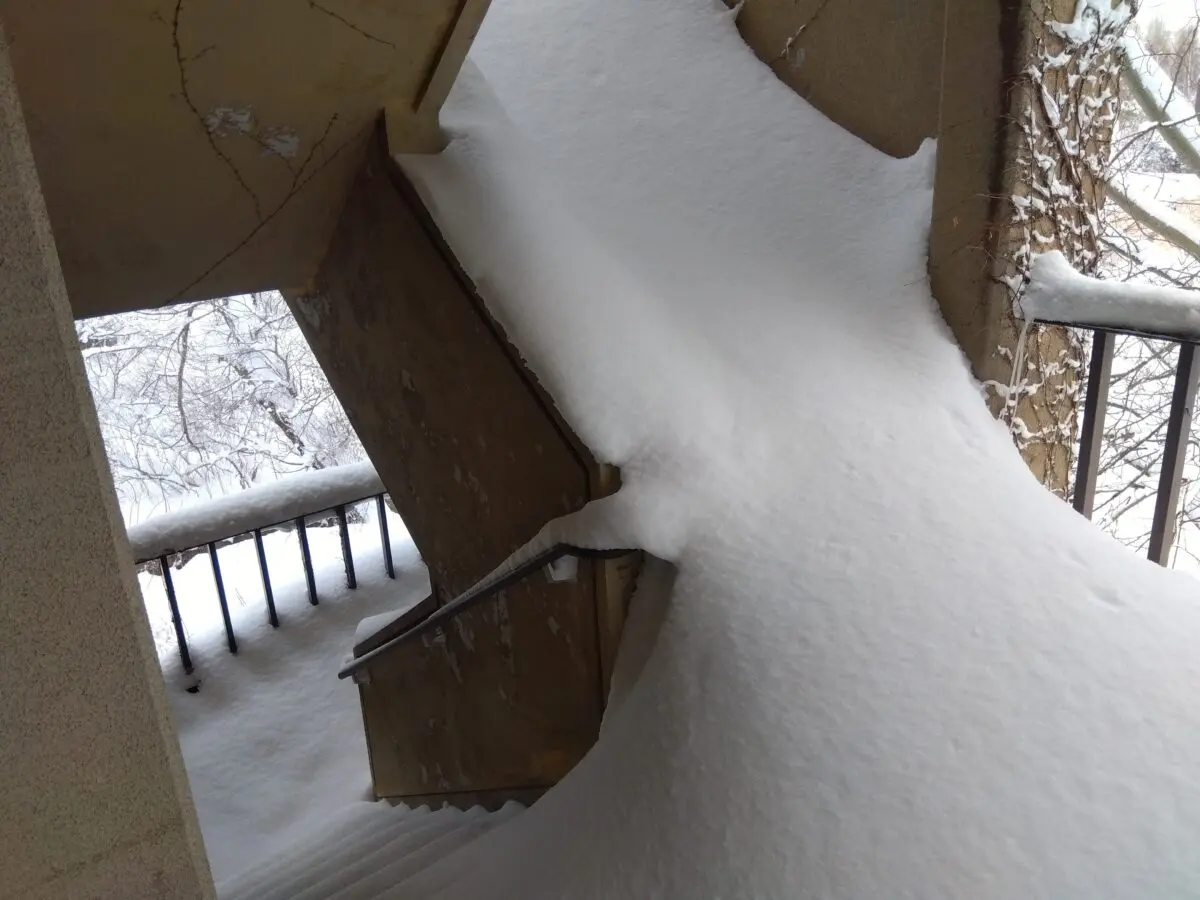 sirabee20260127hokkaido3