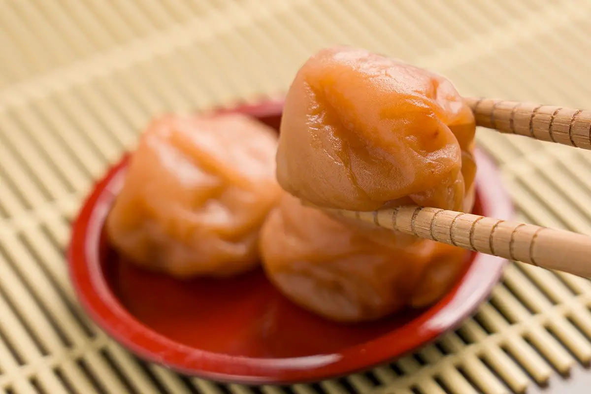 sirabee20260127umeboshi00003