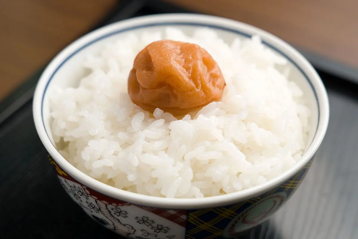 sirabee20260127umeboshi00006