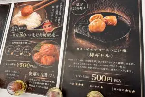 sirabee20260127umeboshi_gal00001