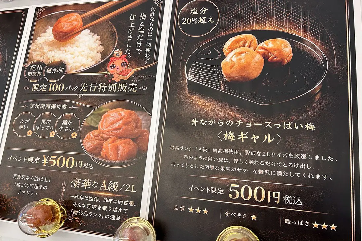 sirabee20260127umeboshi_gal00001