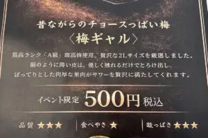 sirabee20260127umeboshi_gal00002