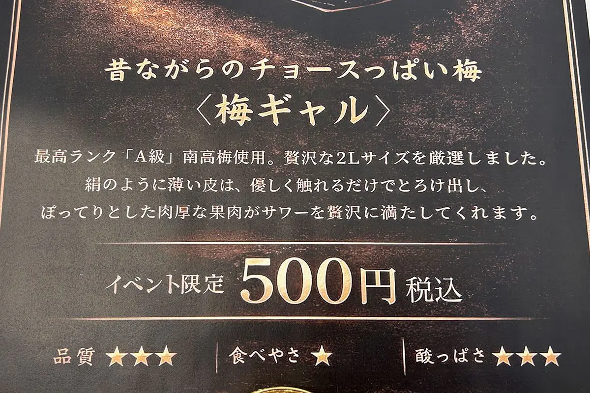 sirabee20260127umeboshi_gal00002