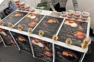 sirabee20260127umeboshi_gal00003