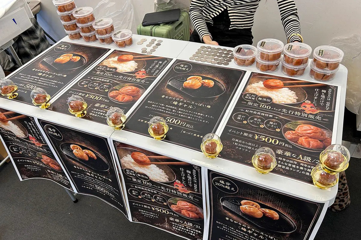 sirabee20260127umeboshi_gal00003