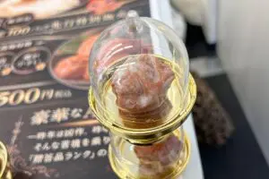 sirabee20260127umeboshi_gal00010