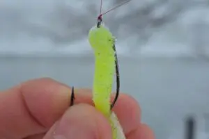 歩道の枝から垂れた危険すぎる罠、通行人が失明する恐れも 釣り客のマナーに「許せない」と怒りの声