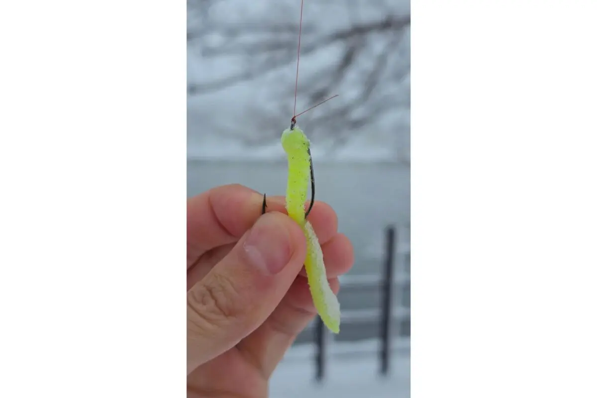 sirabee20260127worm3