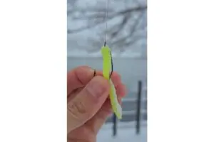 sirabee20260127worm3