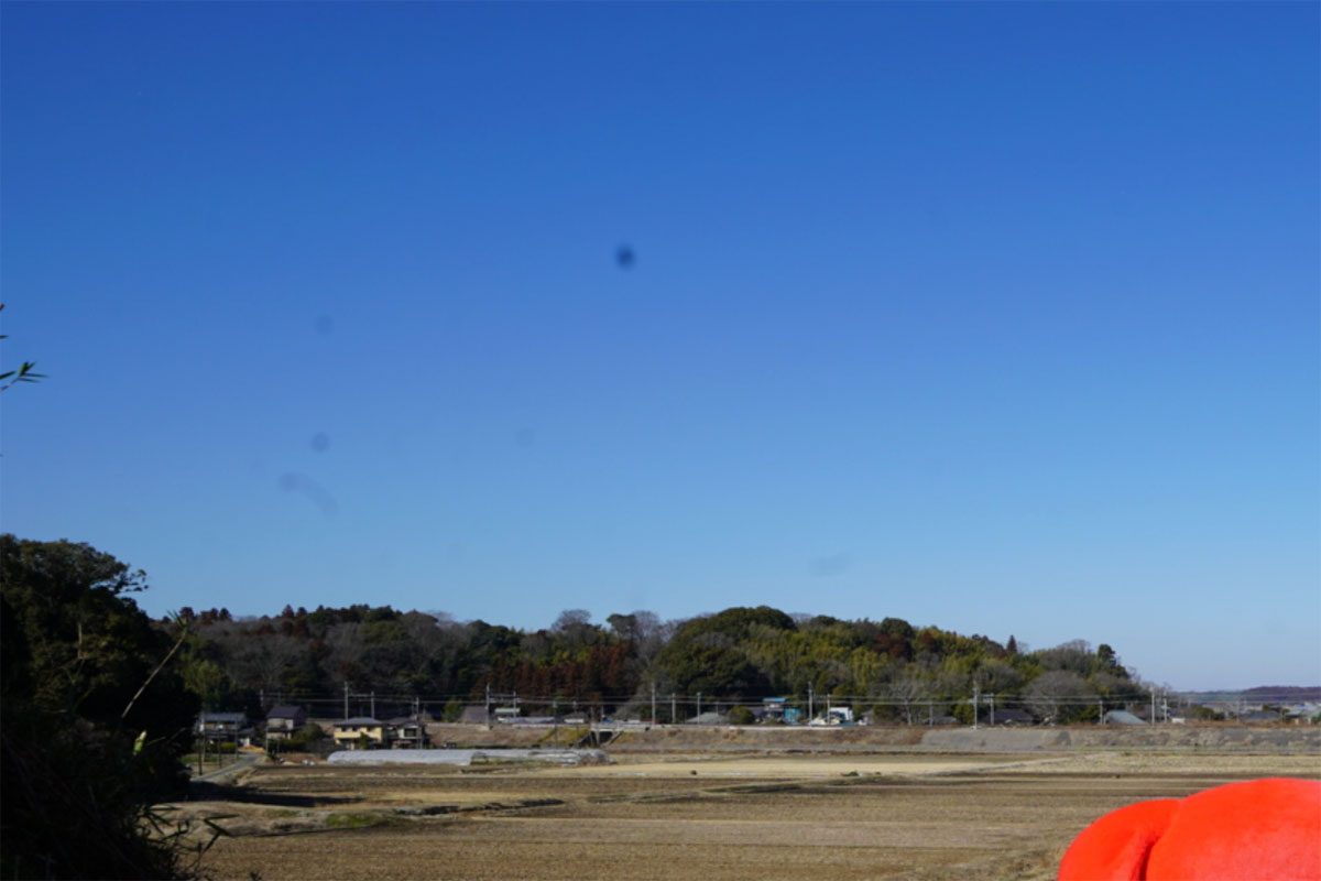 空をよく見ると…