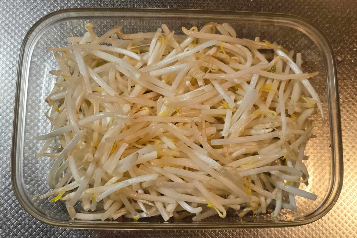 タッパー餃子鍋・もやし