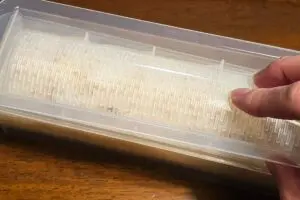 sirabee20260129hutomaki9