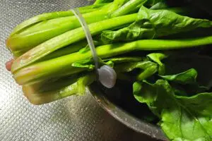 sirabee20260129silicon6