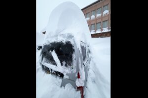 雪落とし 浅野木工所 雪下ろし棒 プラスチック 雪落とし 4.5m伸縮ポールセット