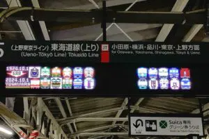 sirabee20260204atami4