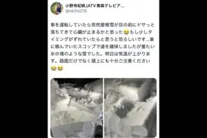 運転中、突然落ちてきた“氷の塊”に「心臓止まるかと」　直撃免れるも…「これは怖い」ネット民戦慄