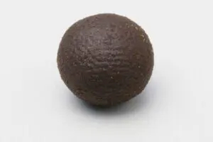 sirabee20260206seirogan8a