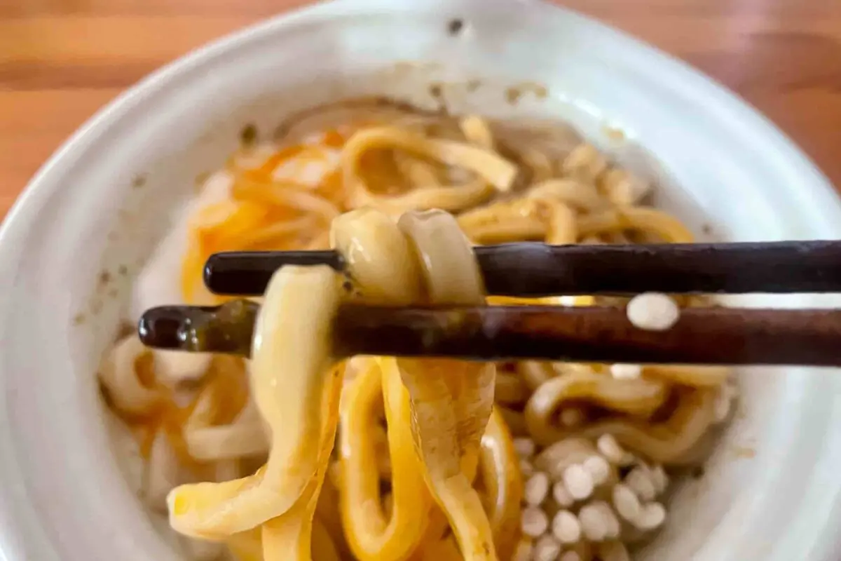 sirabee20260206udon5