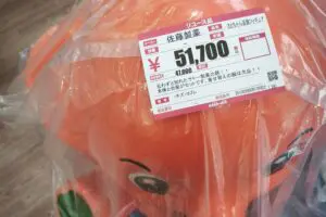 ハードオフで発見したとんでもない置物、その正体に衝撃走る　「5万円はお買い得か」で議論勃発