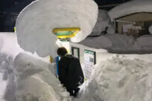 sirabee20260212coinparking