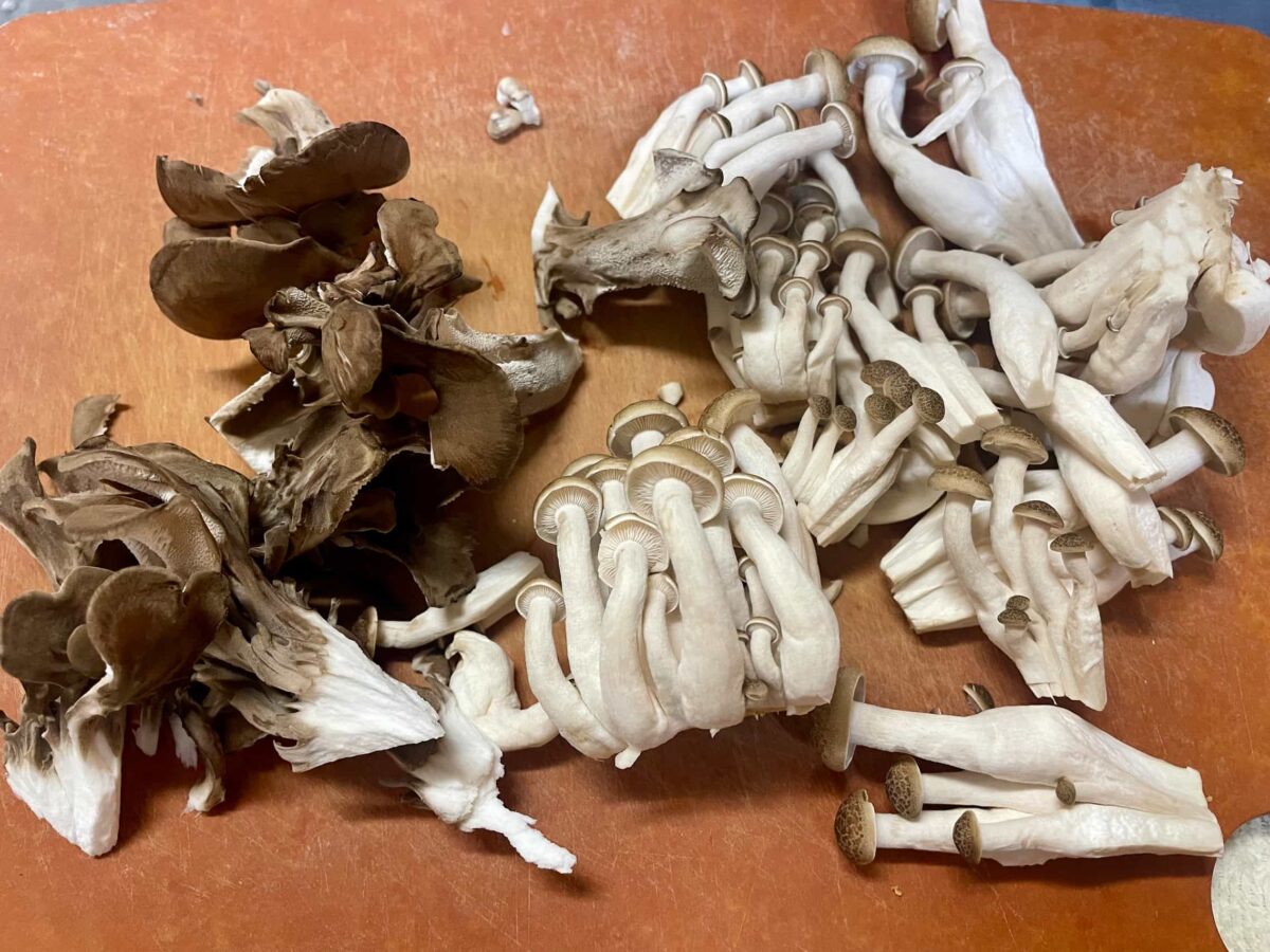 わかめときのこのZENパスタ風