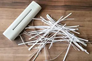 sirabee20260213shredder6