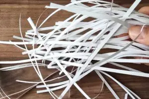 sirabee20260213shredder7