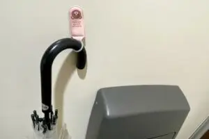 sirabee20260215kasa2