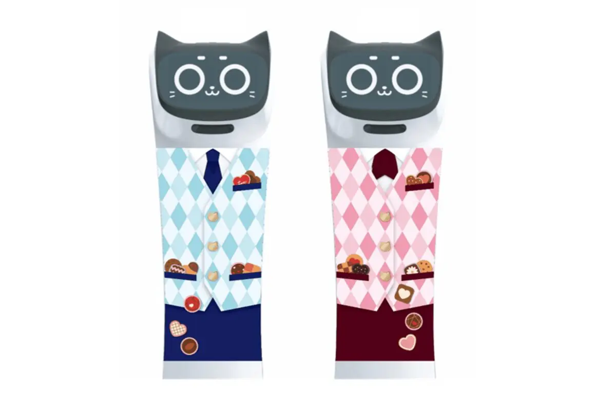 sirabee20260217gyutan5