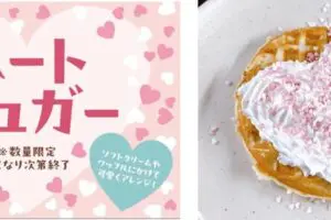 sirabee20260217gyutan6