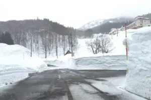 sirabee20260217yuki_kousaten