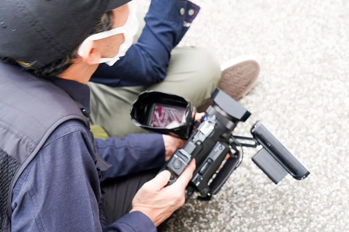 sirabee20260218lowangler00002