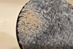 sirabee20260218puff13