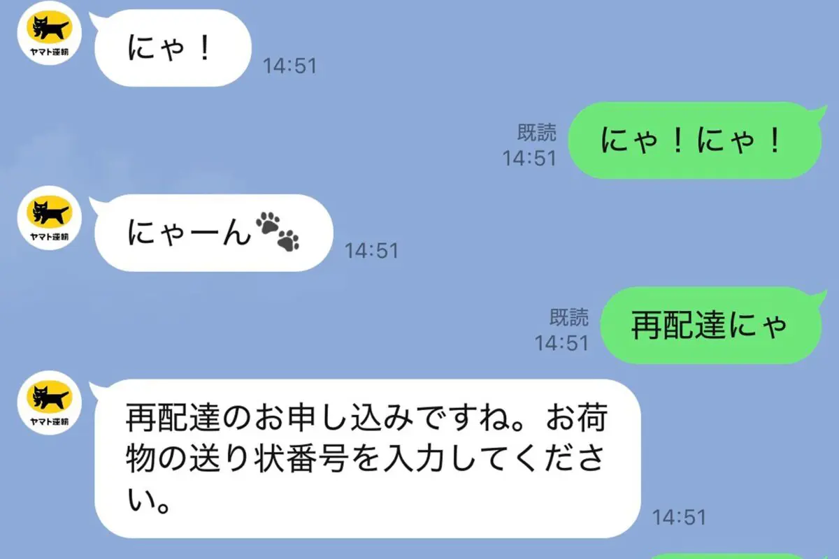 sirabee20260219kuronekoyamato