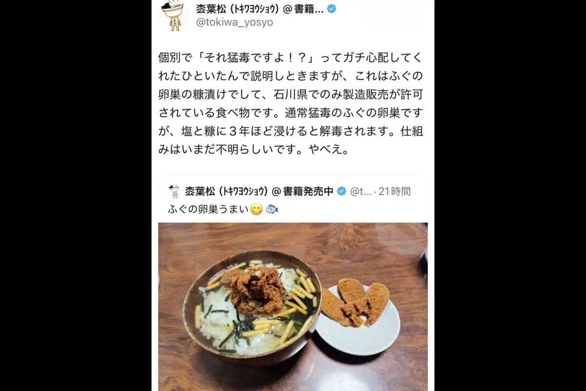 sirabee20260220tokiwashouyou