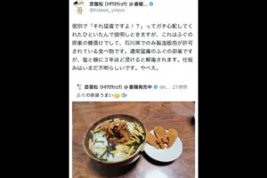 sirabee20260220tokiwashouyou