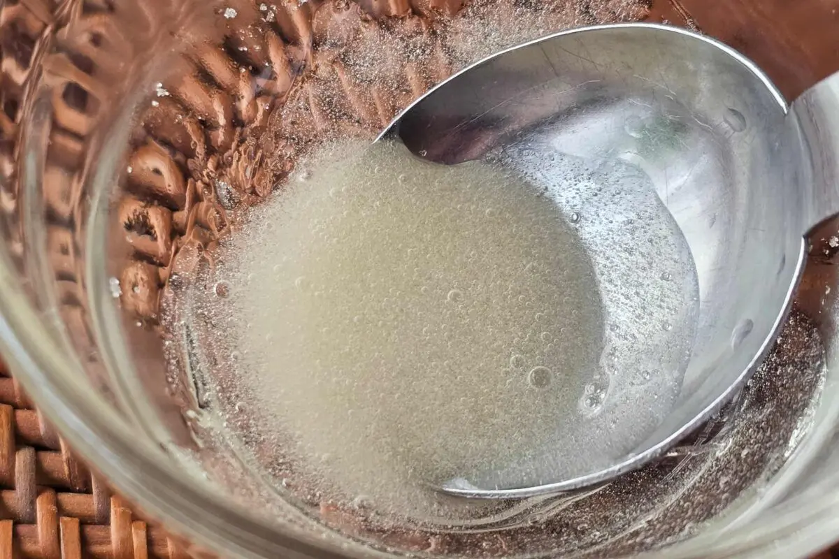 sirabee20260224cheese5