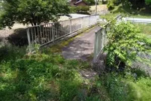 sirabee20260225kattebashi5