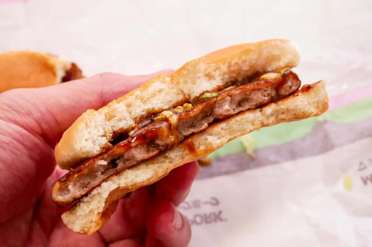 sirabee20260225mcpork4