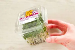 sirabee20260226broccolisprout1