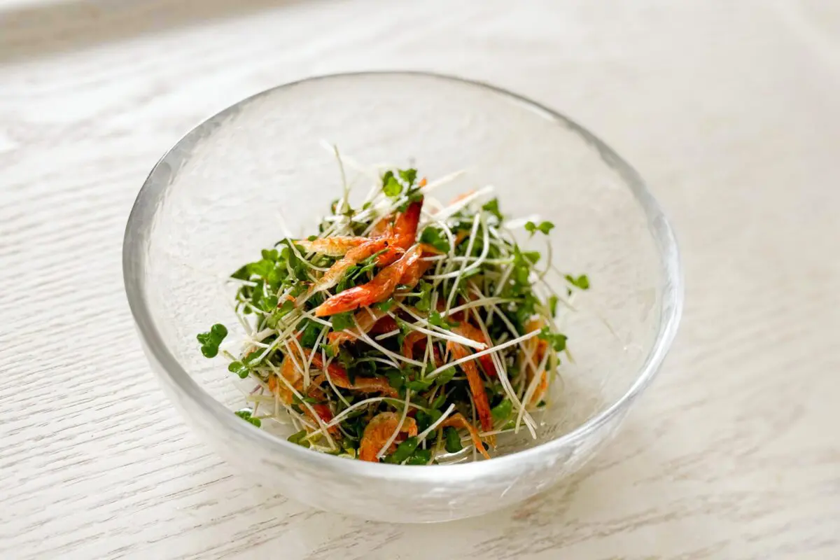 sirabee20260226broccolisprout5