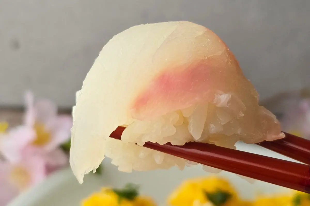 sirabee20260226sushi10