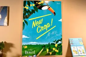 sirabee20260316　　Tully's-newcrop6