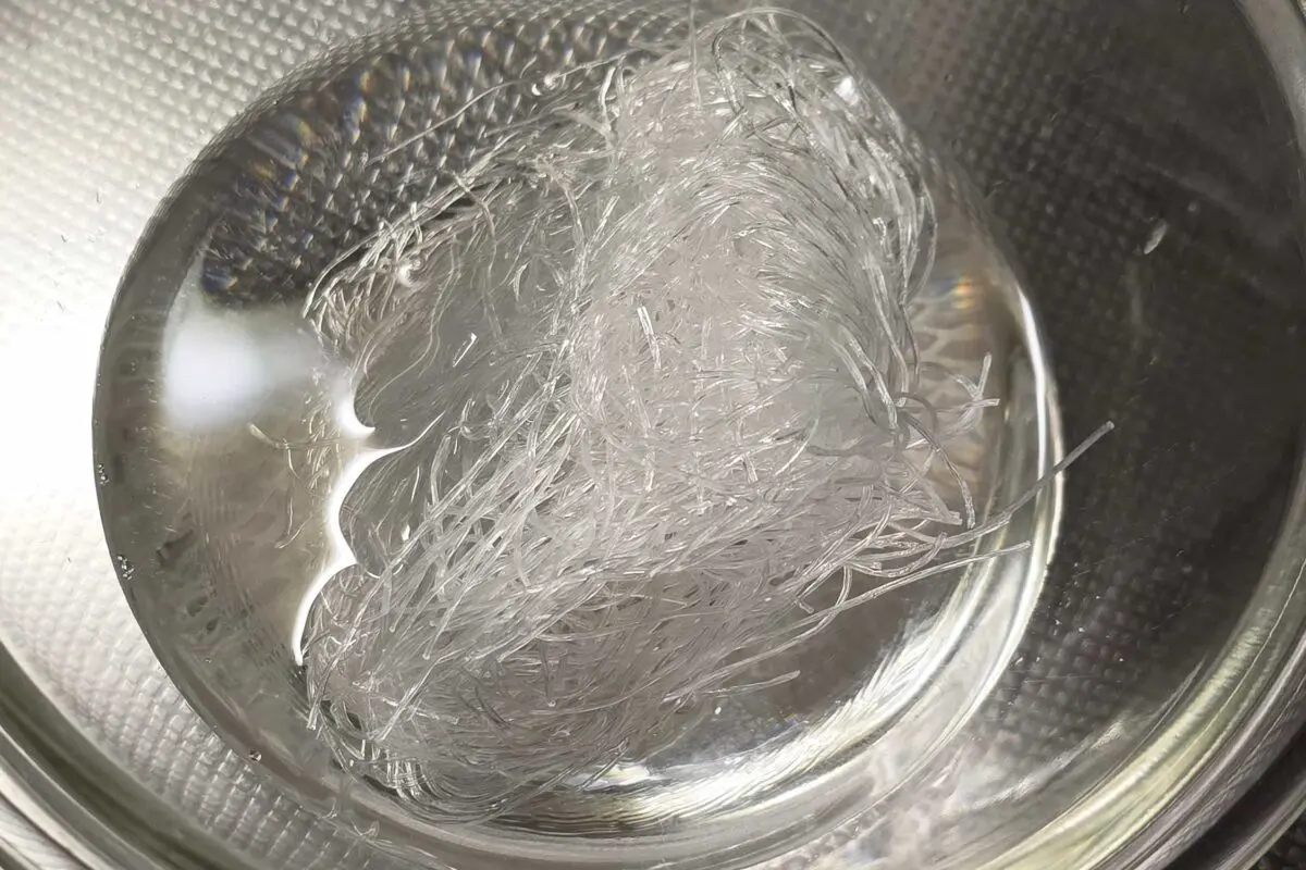 sirabee20260302harusame3