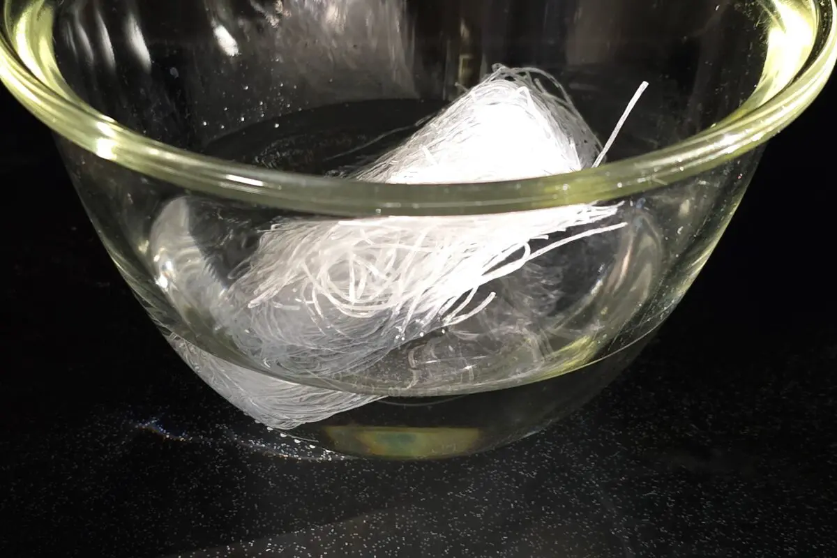 sirabee20260302harusame4