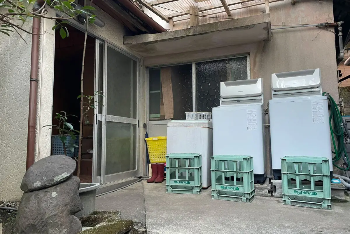 sirabee20260303minokichi3